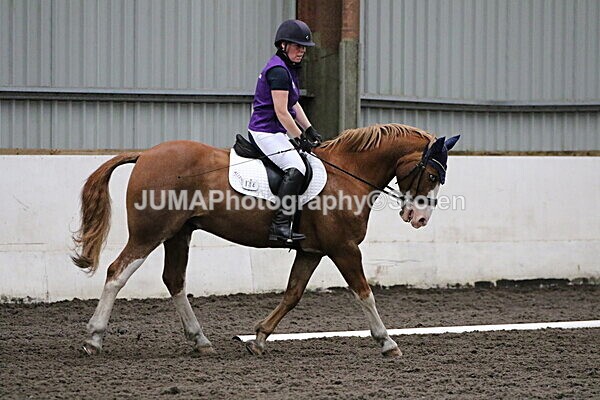SIAL3810 - CAbin Dressage 5th july 2025