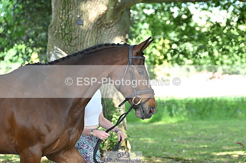 250521A-161128-00972 - C-208-Georgie.Frow-MBF.OLD.MEL