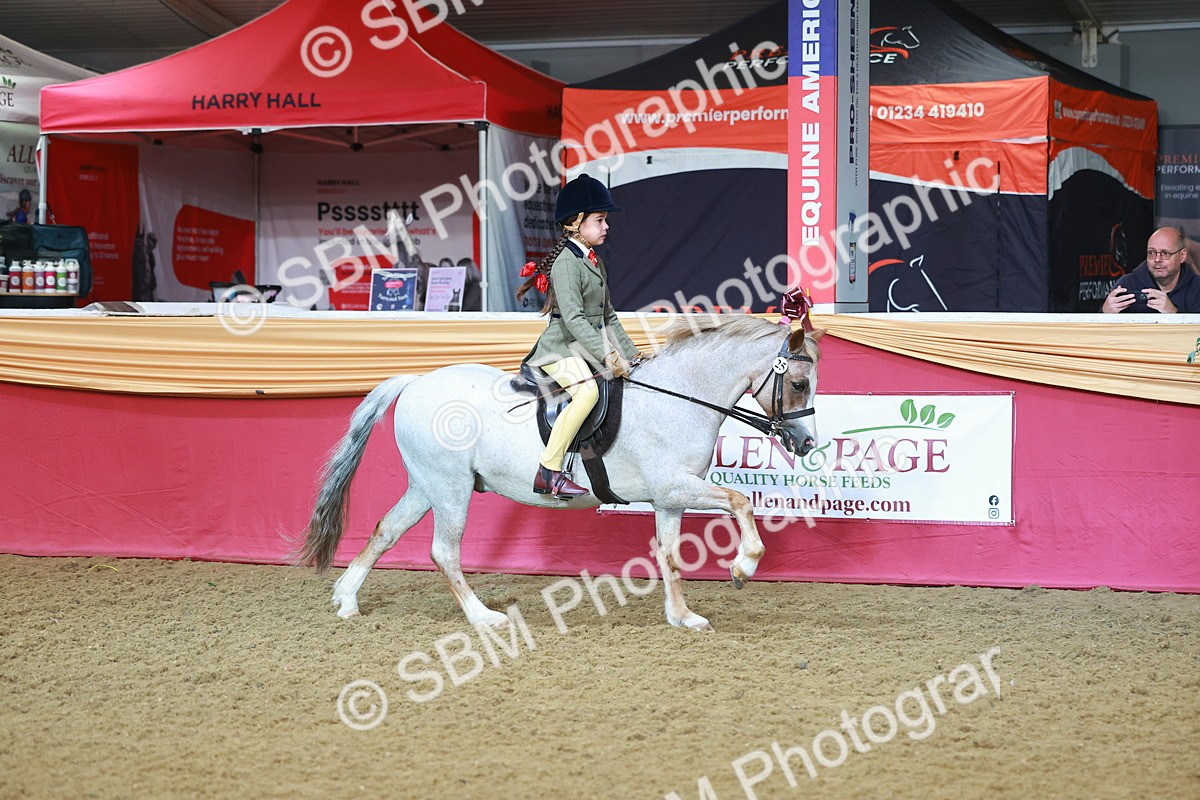 SBM_07612 - Class 101 - HOYS Veteran Qualifier - Ridden Diamond