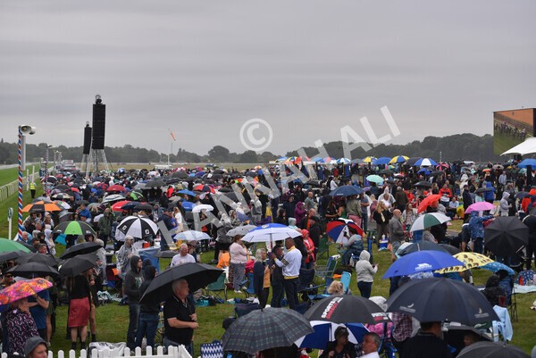 yr22072022r1-36 - Race 1 5.20pm John Wright Electrical Handicap Apprentice Stakes