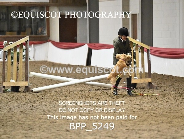 BPP_5249 - CLASS 5 HORSE AND HOUND