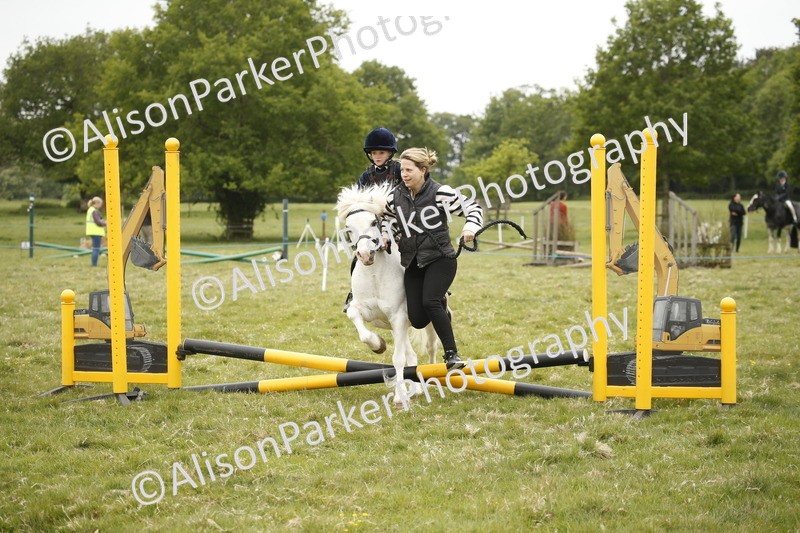 20250517-0189 - Class 1 - 30cm On Lead Rein