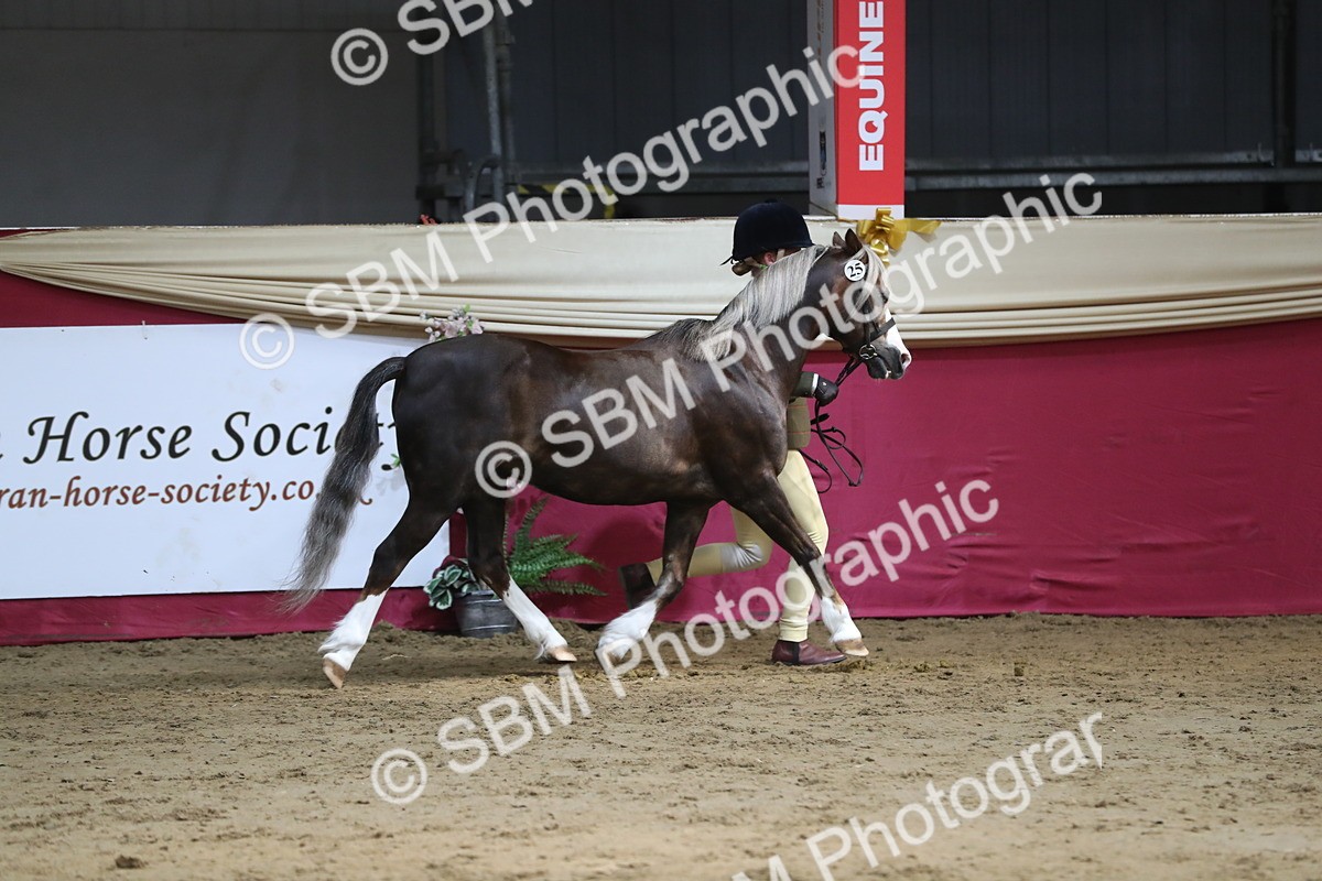 SBM_06533 - Regional IH Champ
