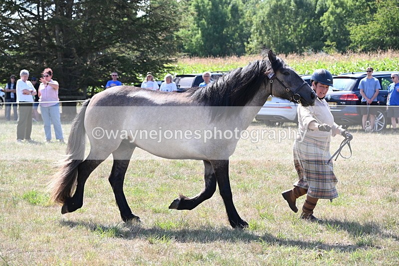 WJ6_4999 - Class 17 Mountain & Moorland