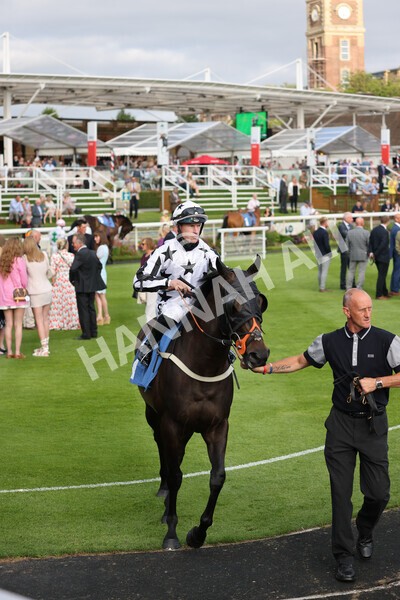 yr23072021r2-5 - Race 2 6.30pm IRE-Incentive It Pays To Buy Irish Stakes