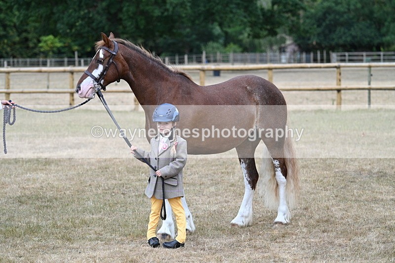 WJ7_9419 - Prettiest Mare Champs