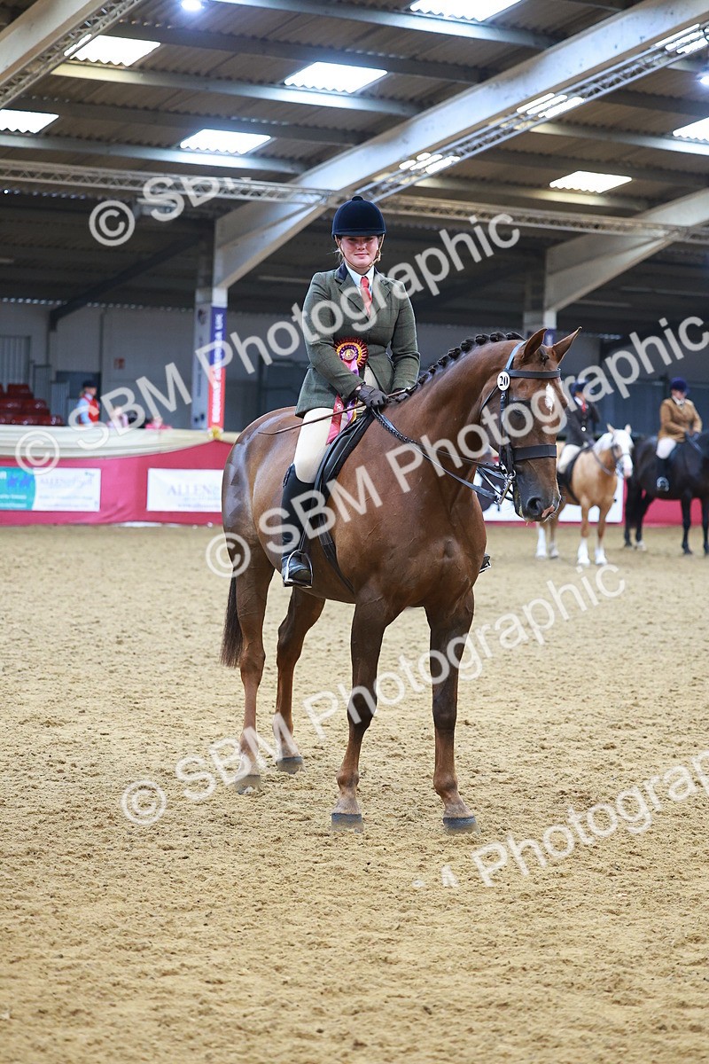 SBM_09860 - Class 102 - HOYS Veteran Qualifier - Ridden Veteran