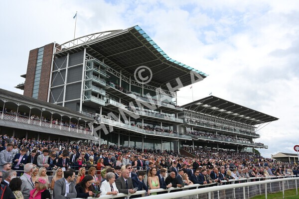 yr21052022r1-14 - Race 1: 1:40pm William Hill Play Responsibly Stakes