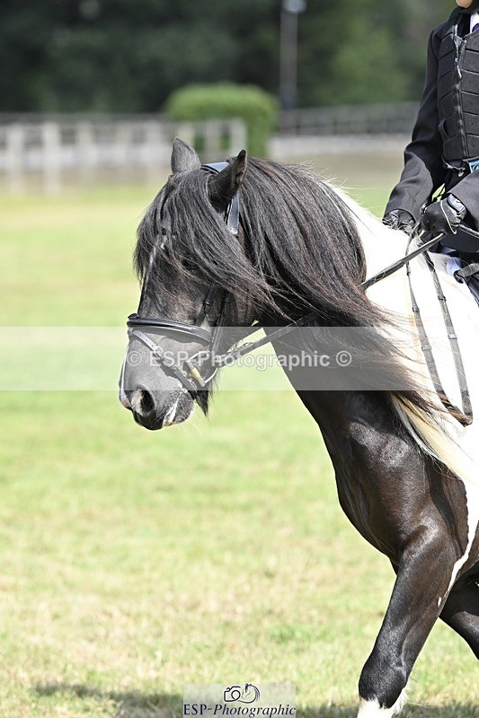 250821A-114236-15298 - DR 11.00 to 12.00