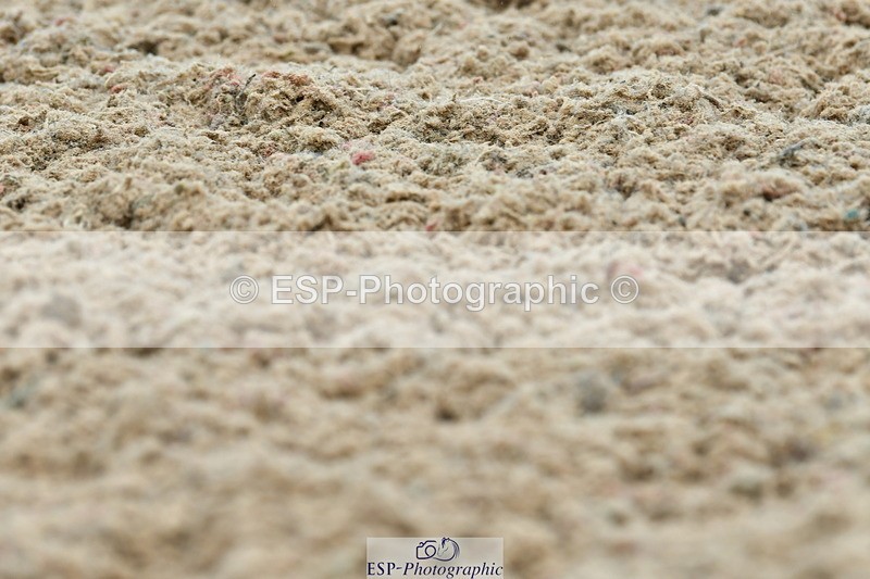 230630A-131701-02334 - Cls 8 Elementary 57