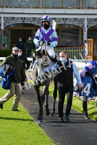 yr22052021r7-51 - Race 7 5.25pm Hudson Quarter York Palace Capital Stakes - Gentleman Amateur Riders Race