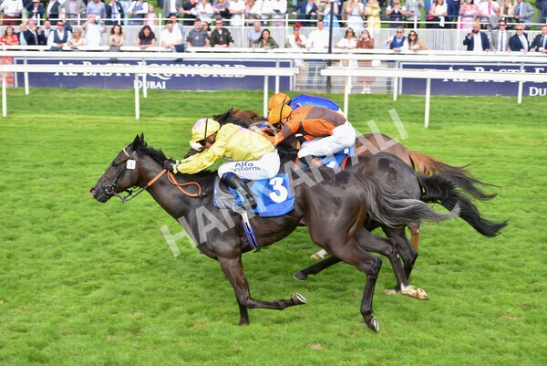 yr10072021r7-16 - Race 7: 5.15pm John Smith's Stakes