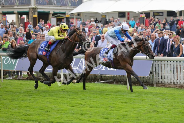 yr20082021r1-18 - Race 1 1.50pm Sky Bet Stakes