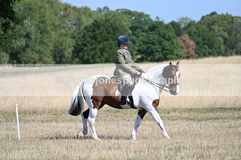 WJ7_3036 - Class 8 Ridden Tack & Turnout