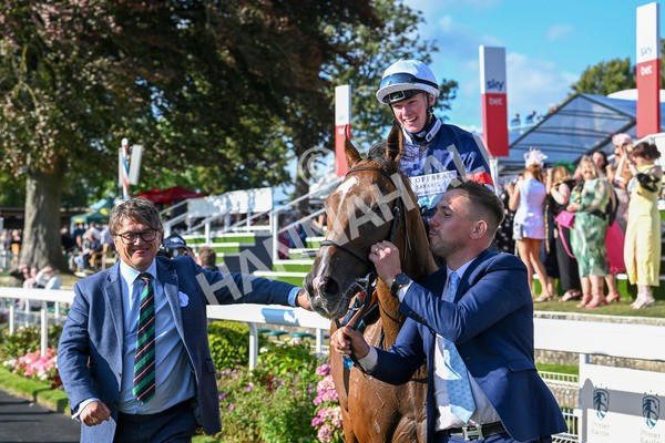 240824-Race 7-Sir Busker-2077 - Race 7 5.20pm Sky Bet Finale Handicap