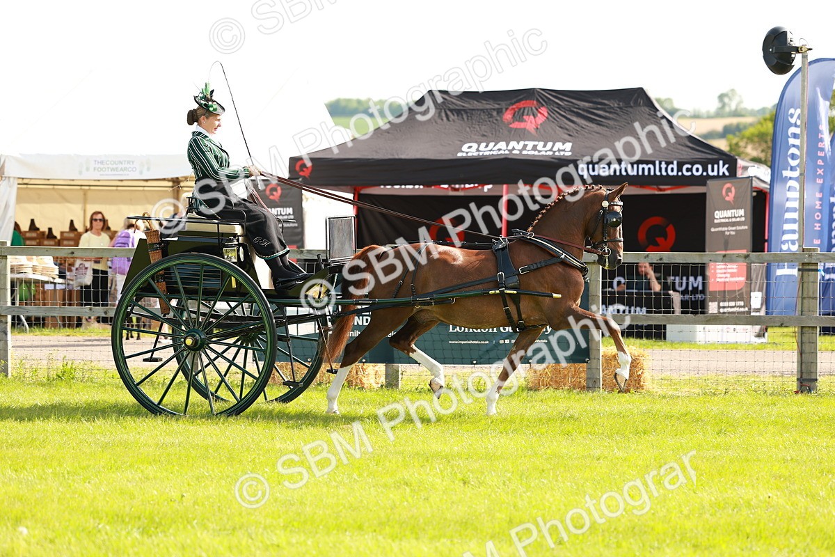 SBM_01162 - Class 2-4 - HOYS Private Driving