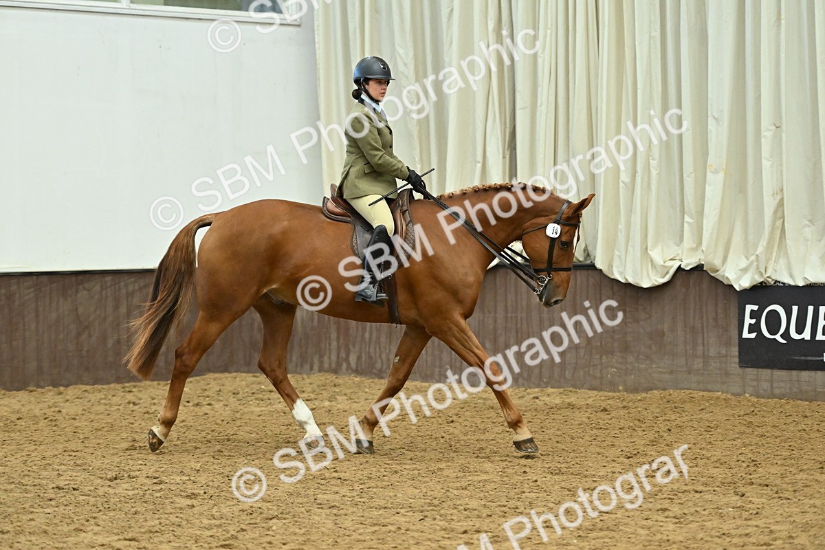 SBM_002053 - Class 23 - BSHA Ridden Show Hunter