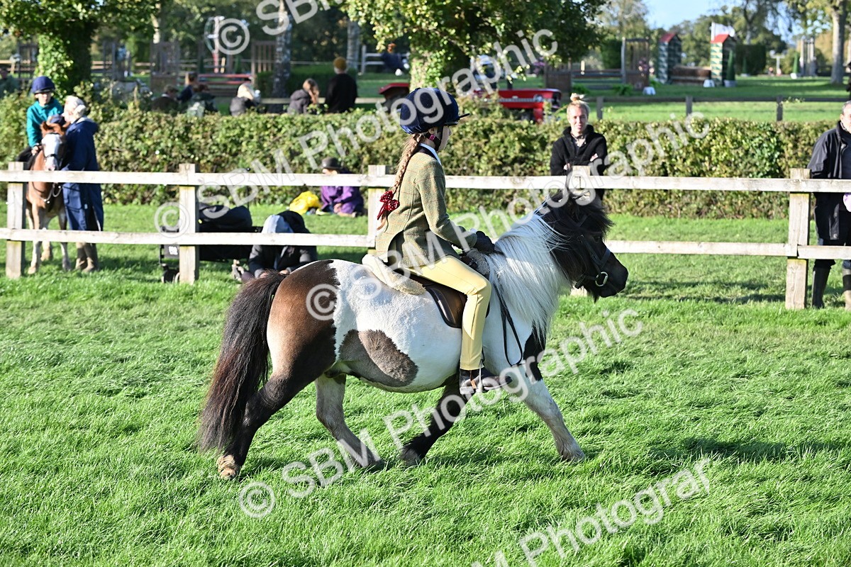 SBM_53057 - S23 - First Ridden Mountain & Moorland Pony