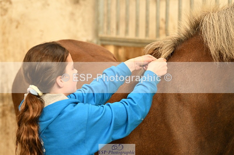 240809A-092704-00081 - Stable Shots