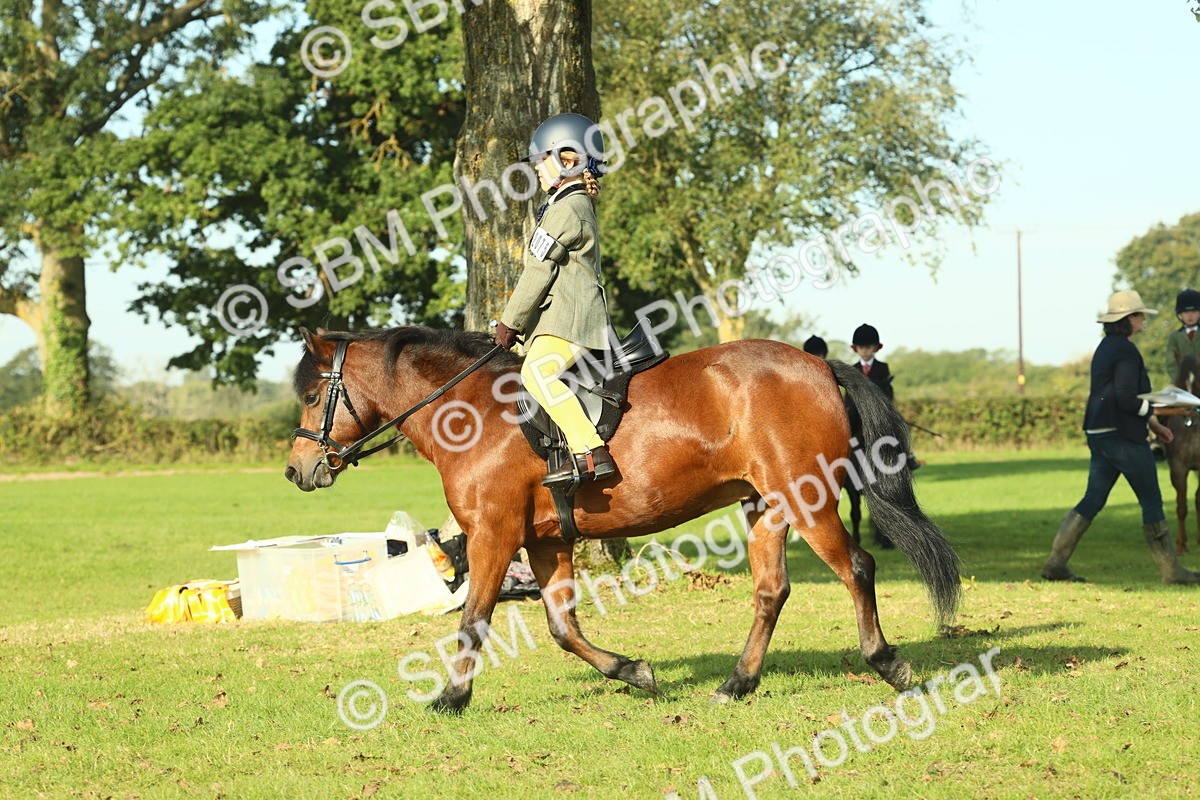 SBM_59167 - S38 - Starters Ridden Showing