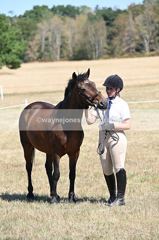 WJ6_8669 - Class 37b Best Loan Pony In-hand