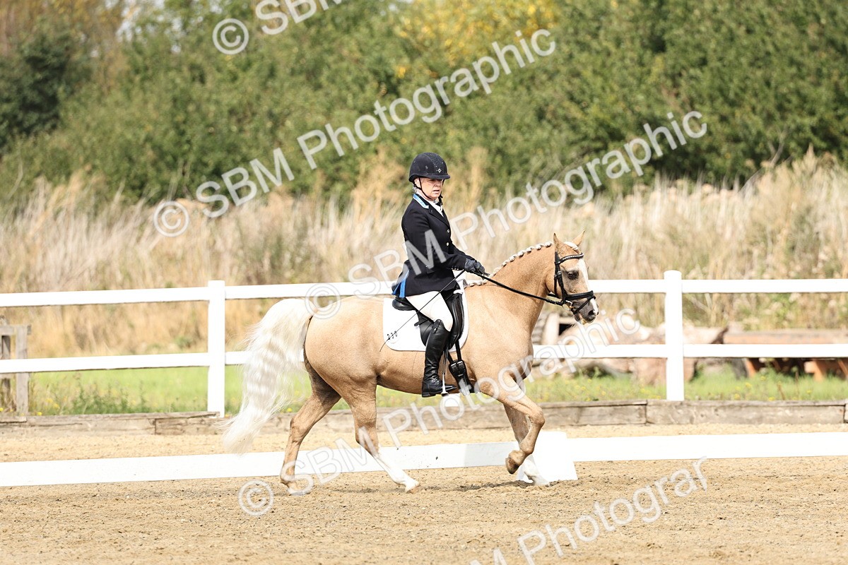 SBM_018201 - Class 16 - Novice 5 - 11.12-12.01