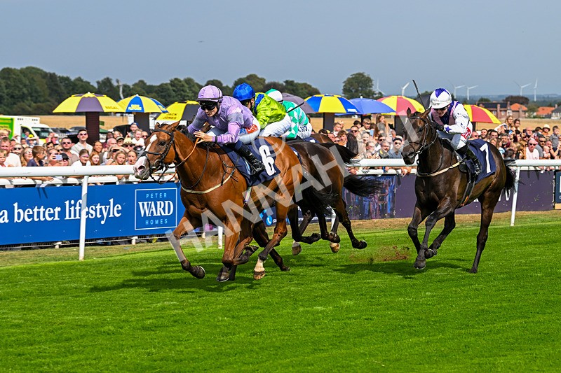 240825-Race 1-Light Speed-1462 - Race 1