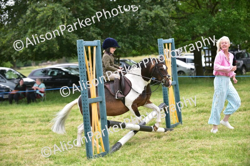 20260614-2695 - Class 13 - Pony Club Pony