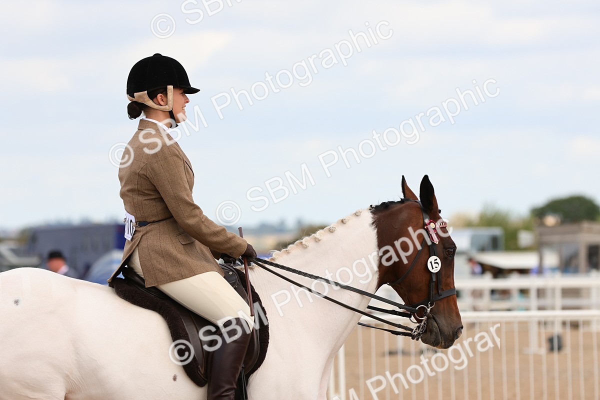 SBM_14153 - Class 213 - Ridden Hack Riding Horse