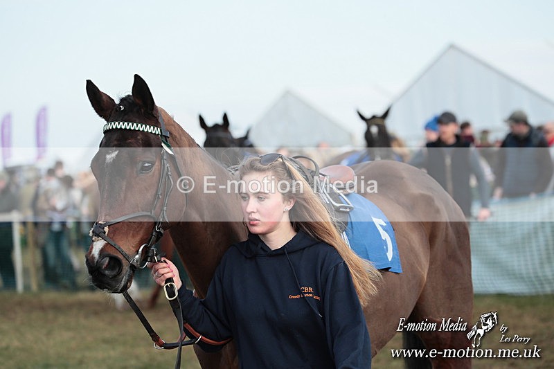 PtP 010325 548 - Beaufort Races Didmarton 01/03/25
