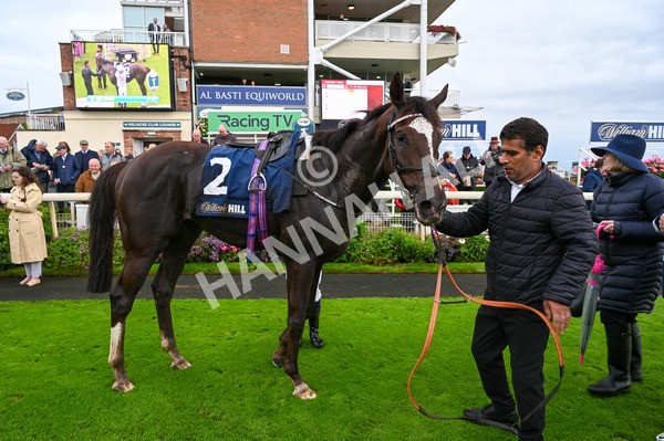 131023-Race 2-Lordship-7623 - Race 2 2.40pm William Hill Finale Handicap