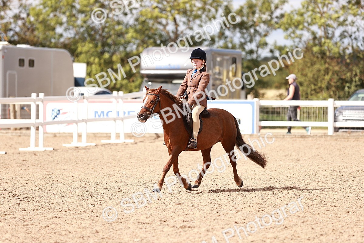 SBM_14382 - Class 409 - Grassroots Ridden - Pony