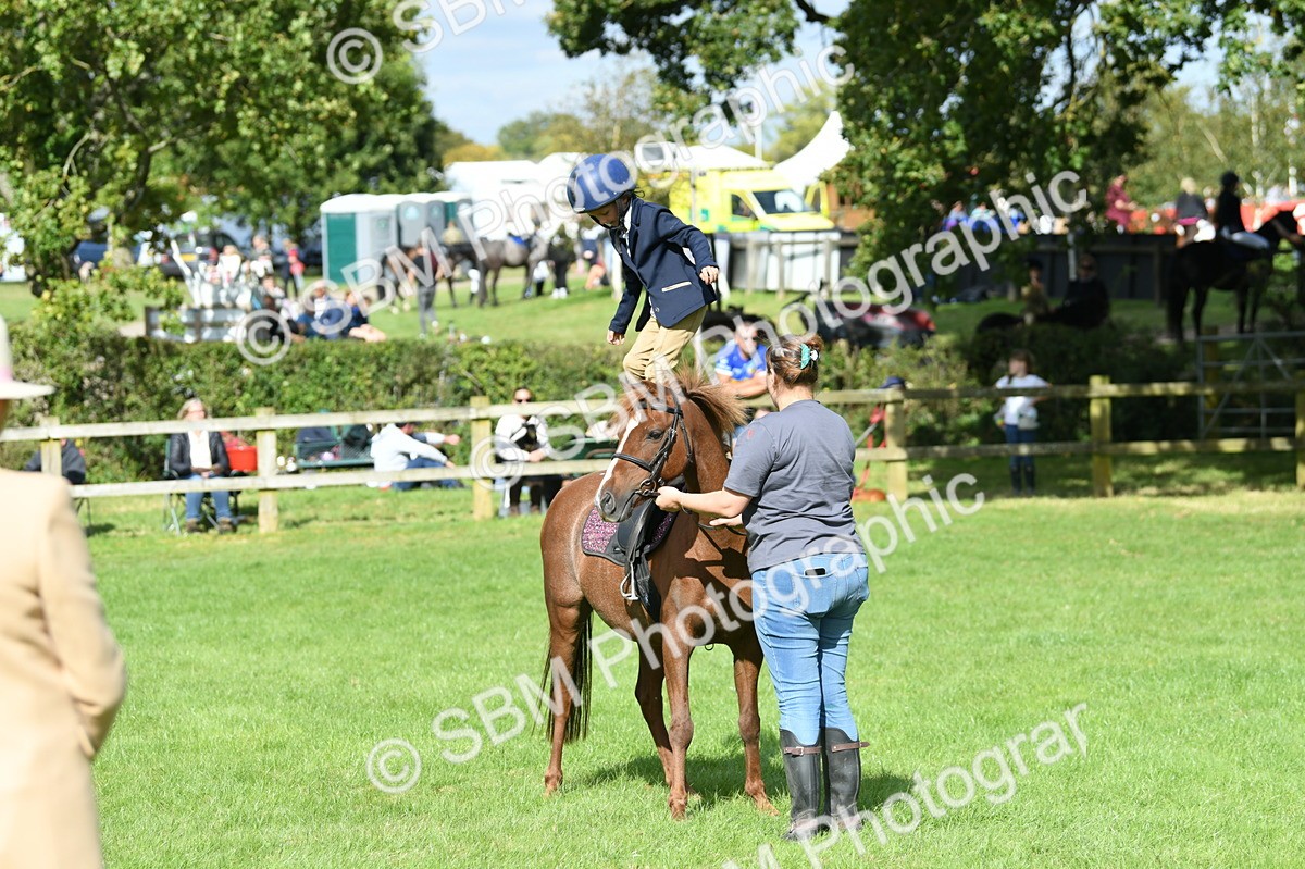 SBM_47164 - S12 - Family Horse & Pony