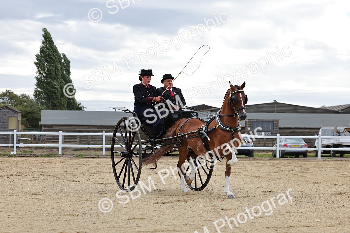 SBM_000415 - Class 4 - Junior Whip