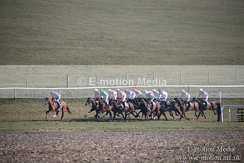 PtP 230219 201 - Vine & Craven Point-To-Point - Barbury 23/02/19