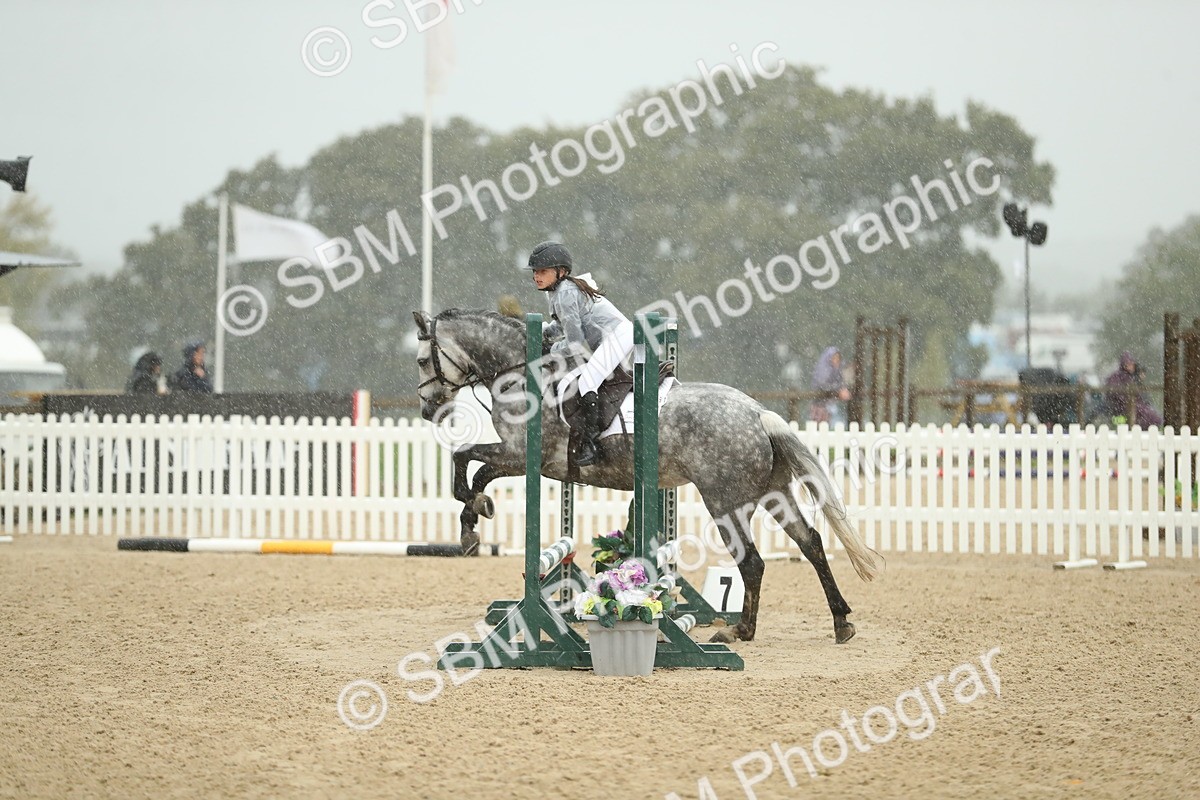 SBM_34298 - J60 Clear Round 50cm