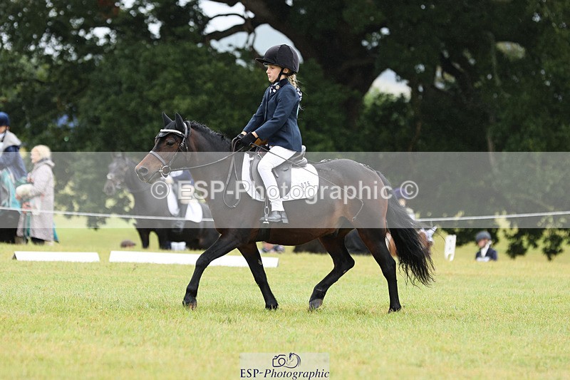 240824X-102557-22240 - D70 Section C and D 9.30 to 11.00