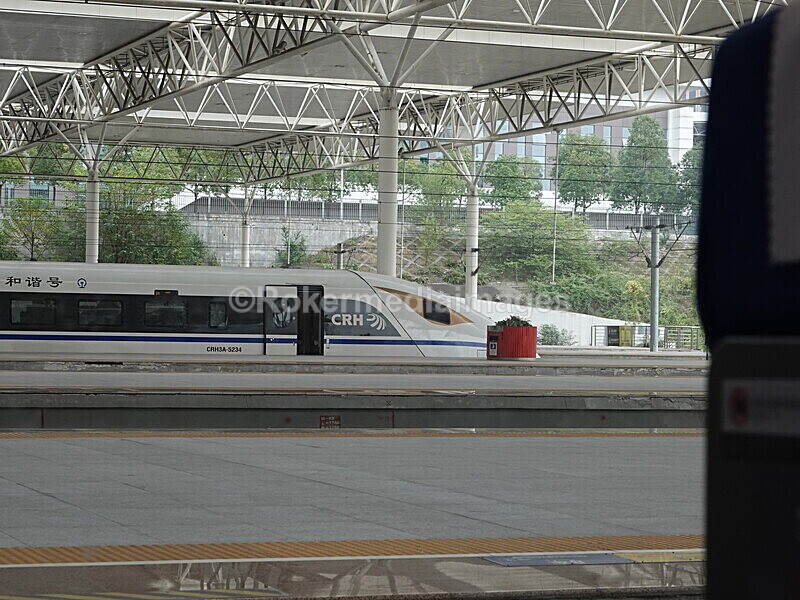 CHINA__0344 - China 2019