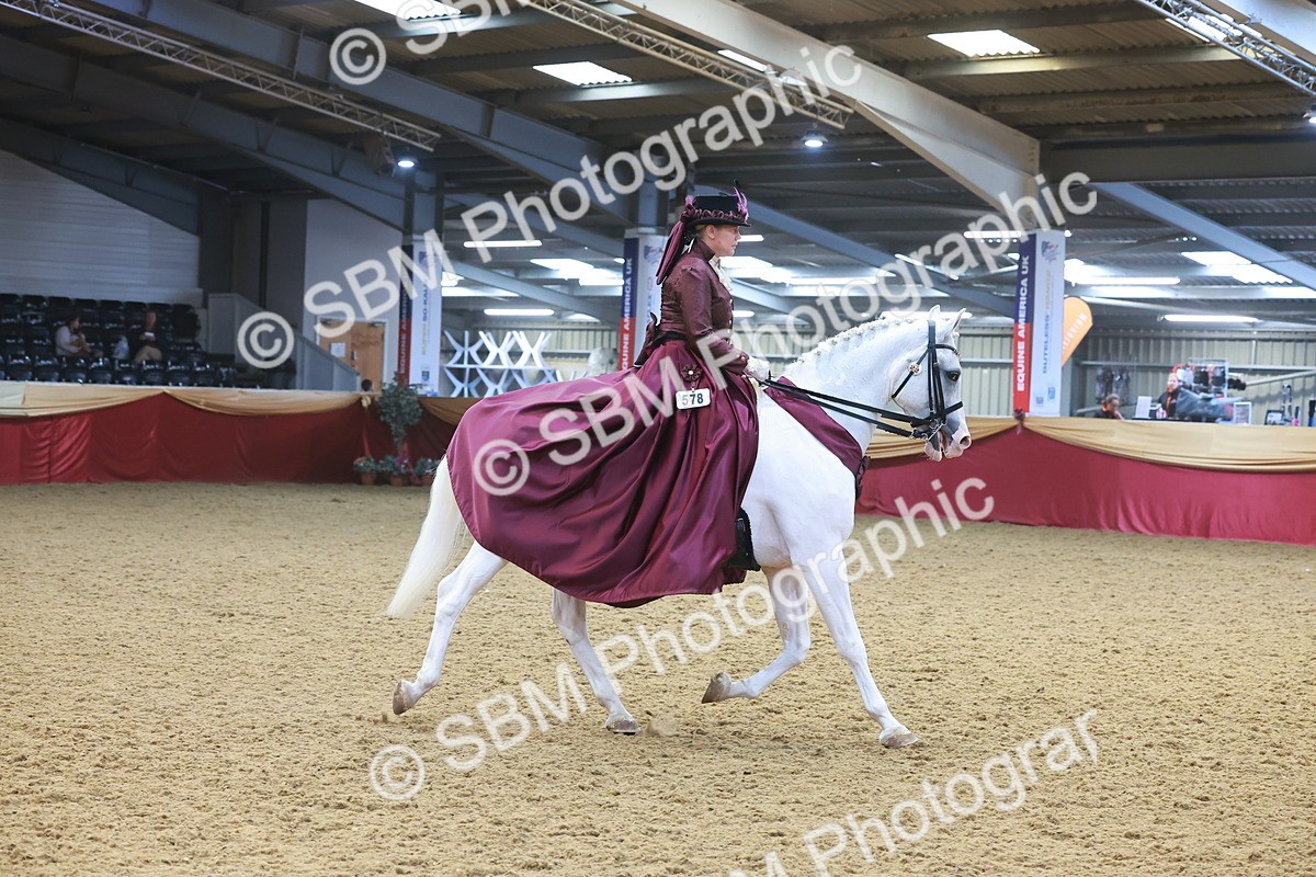SBM_14805 - Class 108 - Ridden Costume - Astride Adult (20+)