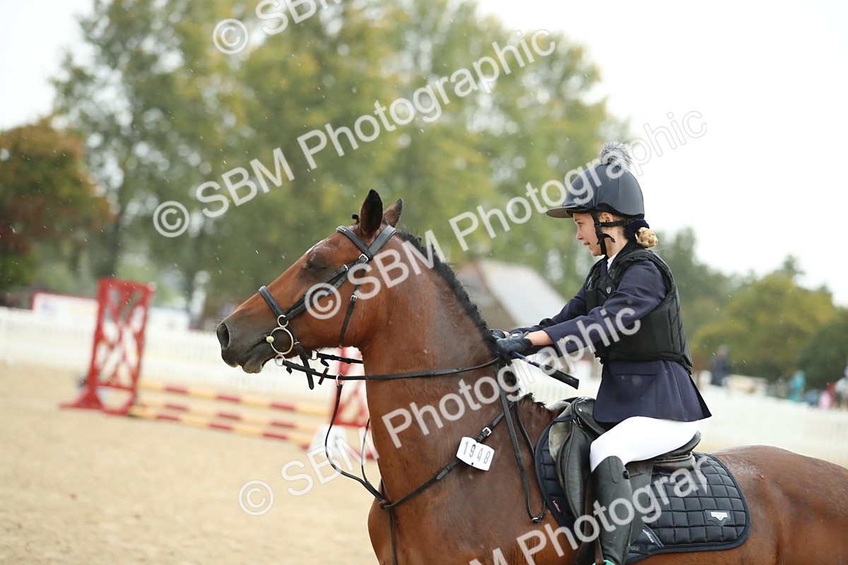SBM_34314 - J60 Clear Round 50cm