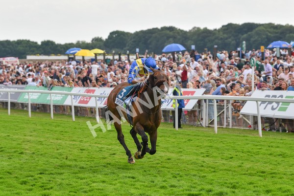 170623-Race 7-The Green Man-7504 - Race 7 5.25pm Clean Up With PPS Handicap