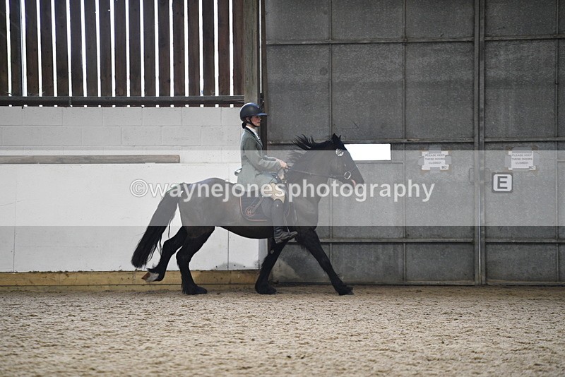 WJ5_7901 - Class 13 Ridden Part Breed