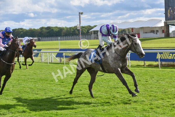 yr22052021r7-47 - Race 7 5.25pm Hudson Quarter York Palace Capital Stakes - Gentleman Amateur Riders Race