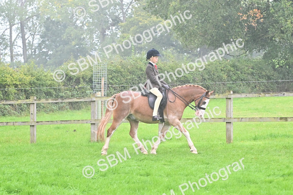 SBM_72638 - S43 - Ridden Equitation Best Rider