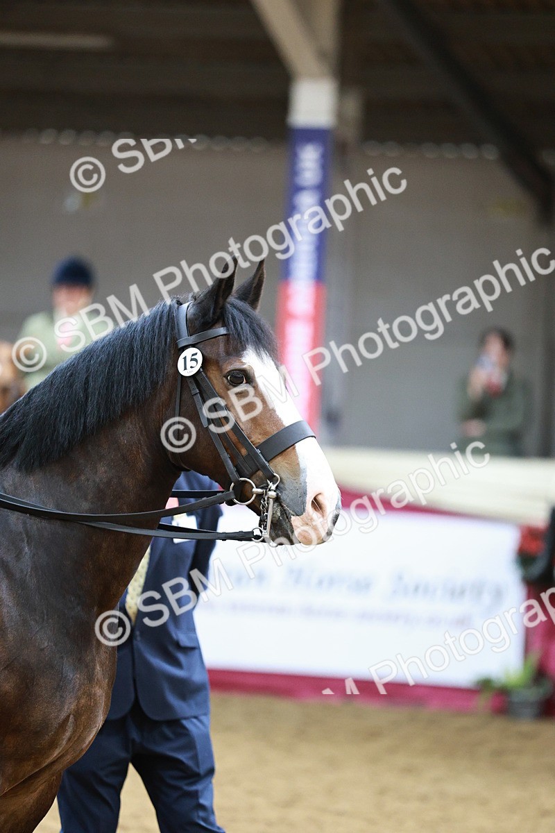 SBM_03593 - Class 6A Area Ridden Pre-Vet