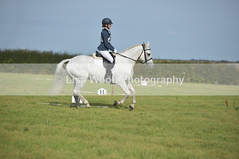 RAY_7700 - Class 2B: Trekenning Open: Dressage