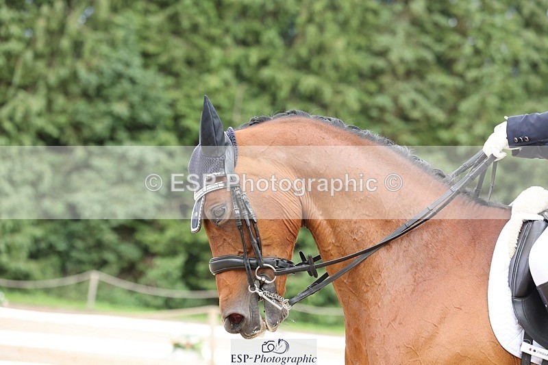 240721-155012-09799 - 119-Beth_Taylor-Willy_Wonker