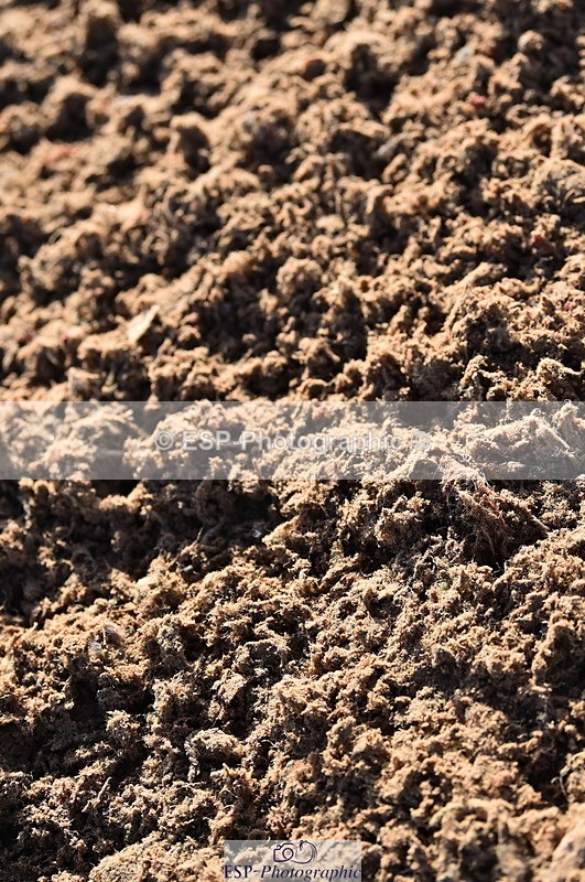 231101A-100716-00009 - Cls 1 British Novice