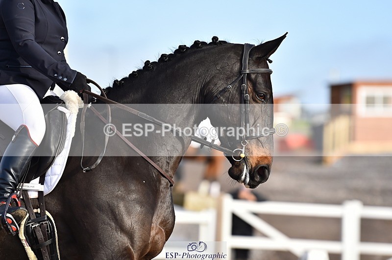 231104A-101736-01317 - Cls 2 Prelim 19