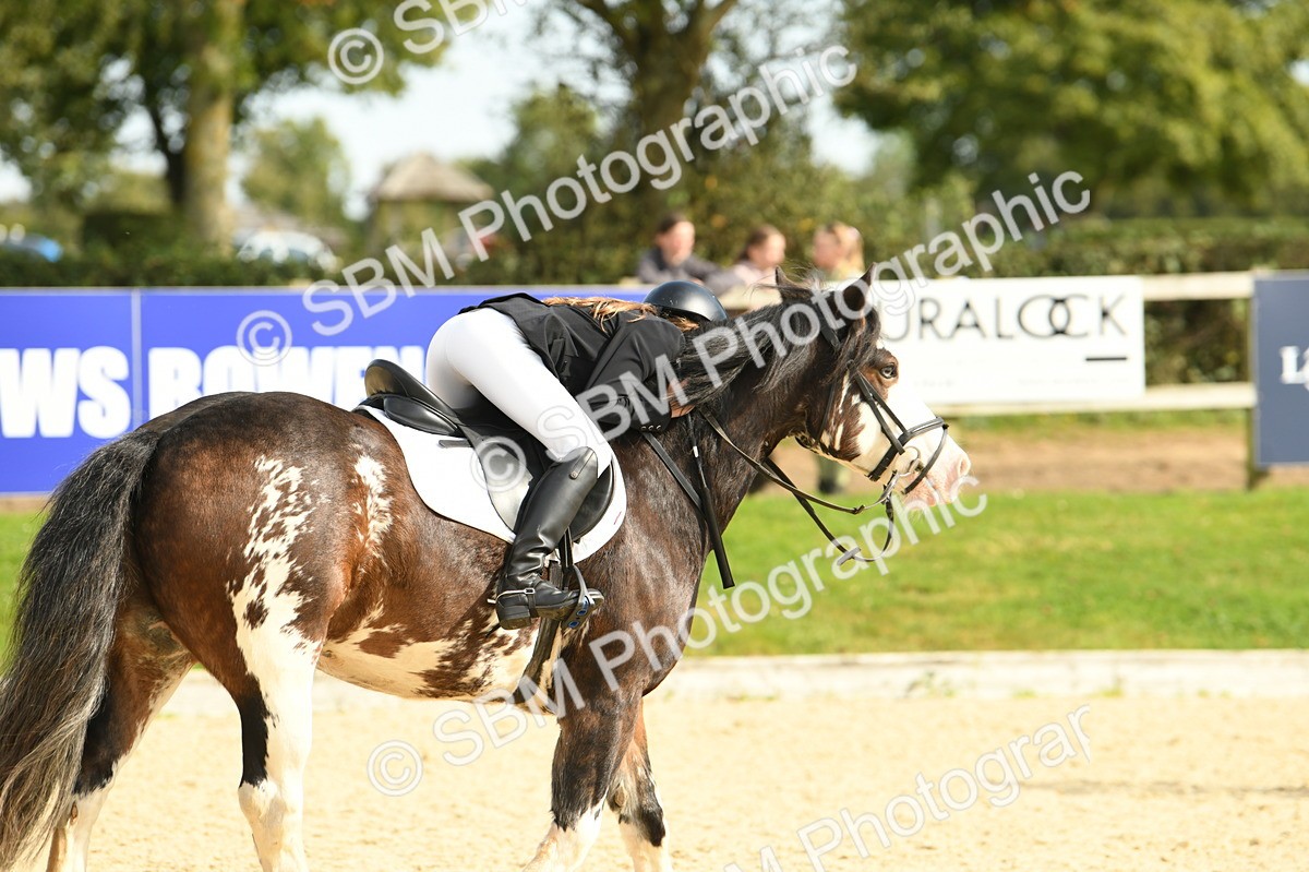 SBM_69294 - J15 - Junior Pony 70cm Championship